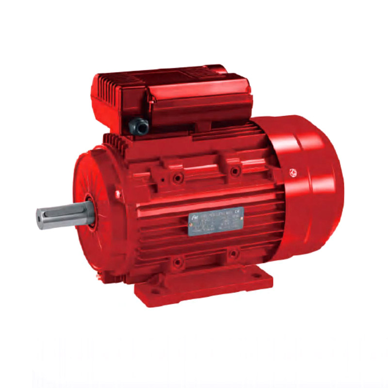 YL Ikki qiymatli kondansatkichli induksion vosita